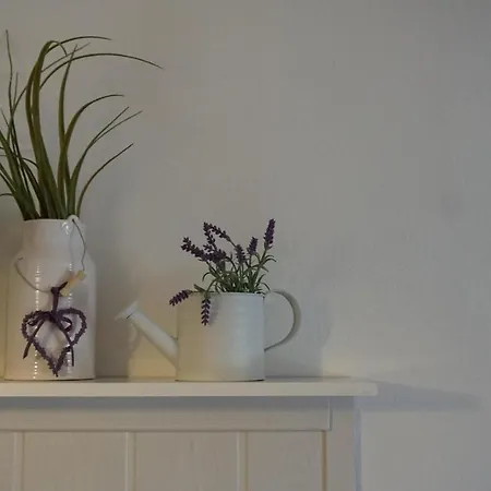 Feriendorf Hochbergle Haus 95 *